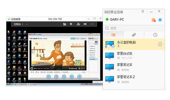 向日葵客戶端電腦版 10.2.1.24275 正式版下載與功能指南
